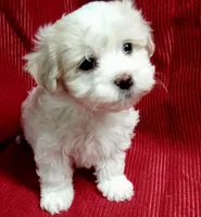 processed/229b6551-c910-49c3-aa2f-0cfd1c9518d7/listing/214dcb63-f2bf-4b1a-9ee7-821446db11ac/978c2b94-03f2-4713-a7f9-e177f04dc259