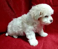 processed/229b6551-c910-49c3-aa2f-0cfd1c9518d7/listing/214dcb63-f2bf-4b1a-9ee7-821446db11ac/a34108f6-2cf3-4ced-8f26-93fe878d85ac