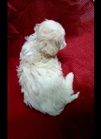 processed/229b6551-c910-49c3-aa2f-0cfd1c9518d7/listing/214dcb63-f2bf-4b1a-9ee7-821446db11ac/ba375134-b71b-456e-bb72-6d2574923f40