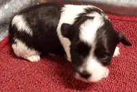 processed/229b6551-c910-49c3-aa2f-0cfd1c9518d7/listing/8f632174-0ada-4e67-b058-be004ec7112d/4579fc6a-71ba-4e94-b8e0-cc8331b2cb72