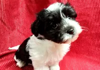 processed/229b6551-c910-49c3-aa2f-0cfd1c9518d7/listing/8f632174-0ada-4e67-b058-be004ec7112d/6f81b376-a1f7-4fd7-b5ff-905b74f3e9c2