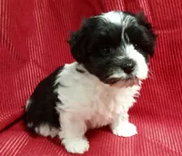 processed/229b6551-c910-49c3-aa2f-0cfd1c9518d7/listing/8f632174-0ada-4e67-b058-be004ec7112d/c6023131-0eaf-429c-a398-8e6e0ae76367