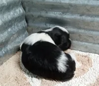 processed/229b6551-c910-49c3-aa2f-0cfd1c9518d7/listing/8f632174-0ada-4e67-b058-be004ec7112d/db5318f4-c2d7-4ecc-8824-5364beed06a5