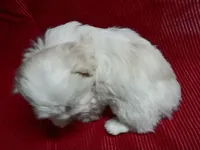 processed/229b6551-c910-49c3-aa2f-0cfd1c9518d7/listing/f181e6a7-1c7c-440a-b111-17ebae6cf93f/c6a009fb-5899-424a-a5a9-d961eb6ba794