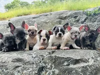 processed/229b792e-16c3-4795-a5d3-8f848adb3a15/facility/3387a846-c5c5-4e3f-b693-12030294b841