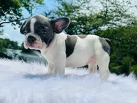 processed/229b792e-16c3-4795-a5d3-8f848adb3a15/facility/65859638-4bd2-46d3-a144-3994b82d7f49