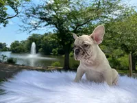 processed/229b792e-16c3-4795-a5d3-8f848adb3a15/facility/9947c849-2cd4-4fcd-abce-feb1798a1adf