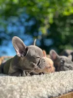 processed/229b792e-16c3-4795-a5d3-8f848adb3a15/facility/9c3acf6a-87ad-49bb-a5ee-0a2dadf16ae5