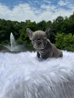 processed/229b792e-16c3-4795-a5d3-8f848adb3a15/facility/b7d92356-29da-4c72-b981-3c751ed378df