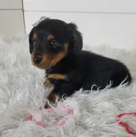 processed/229ba4a3-86f9-4222-8ca4-9599b2be99b3/listing/aa446467-f8f7-4131-b658-7a4f55f46f1f/5e49464e-88e8-4b56-9c9d-c991b72634d7