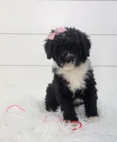 processed/229ba4a3-86f9-4222-8ca4-9599b2be99b3/listing/d2e2aa57-3b9e-4b66-875f-192ec35feb92/668c0e23-704b-43d6-a9cd-8db0453d2240