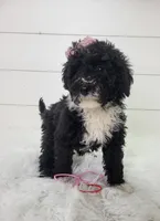 processed/229ba4a3-86f9-4222-8ca4-9599b2be99b3/listing/d2e2aa57-3b9e-4b66-875f-192ec35feb92/d463893b-0031-4e27-93c4-1a315a056b17