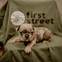 processed/22a4b62f-7e3c-470c-846a-23f54e74b73d/facility/4120b775-bebe-40bf-9fe7-f054c11c6486