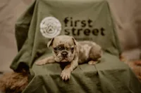 processed/22a4b62f-7e3c-470c-846a-23f54e74b73d/facility/4120b775-bebe-40bf-9fe7-f054c11c6486