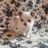 processed/22a9d25d-902c-447b-a751-e3ecc58722ff/facility/2bab8686-e544-46f0-9aa2-95b2ed8eb2ef