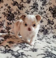 processed/22a9d25d-902c-447b-a751-e3ecc58722ff/facility/2bab8686-e544-46f0-9aa2-95b2ed8eb2ef