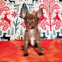 processed/22a9d25d-902c-447b-a751-e3ecc58722ff/facility/82aa581b-27e0-4093-82ca-c0b6fea22bf1