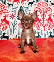 processed/22a9d25d-902c-447b-a751-e3ecc58722ff/facility/82aa581b-27e0-4093-82ca-c0b6fea22bf1