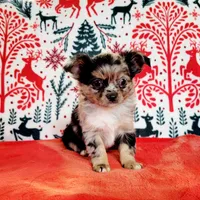 processed/22a9d25d-902c-447b-a751-e3ecc58722ff/facility/83666fd1-0c3e-46f1-b787-49a1f67257a0