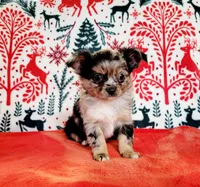 processed/22a9d25d-902c-447b-a751-e3ecc58722ff/facility/83666fd1-0c3e-46f1-b787-49a1f67257a0