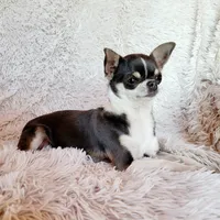 processed/22a9d25d-902c-447b-a751-e3ecc58722ff/facility/9d1082ea-8e58-49e0-9ce3-a56a3144530c