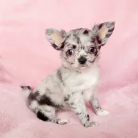 processed/22a9d25d-902c-447b-a751-e3ecc58722ff/facility/aca88170-44d7-499a-9e00-3b53f73f7f04