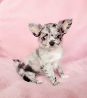 processed/22a9d25d-902c-447b-a751-e3ecc58722ff/facility/aca88170-44d7-499a-9e00-3b53f73f7f04