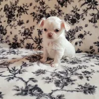 processed/22a9d25d-902c-447b-a751-e3ecc58722ff/facility/d3554f20-0f2a-4435-9b0a-3d55cd1ede77