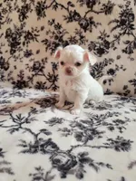 processed/22a9d25d-902c-447b-a751-e3ecc58722ff/facility/d3554f20-0f2a-4435-9b0a-3d55cd1ede77