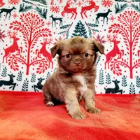 processed/22a9d25d-902c-447b-a751-e3ecc58722ff/facility/d67c068d-81b2-40d8-9021-1b113144b06c