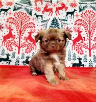 processed/22a9d25d-902c-447b-a751-e3ecc58722ff/facility/d67c068d-81b2-40d8-9021-1b113144b06c