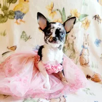 processed/22a9d25d-902c-447b-a751-e3ecc58722ff/facility/d8ff6f49-a843-4acf-a2f5-846242ff7004