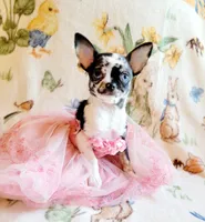 processed/22a9d25d-902c-447b-a751-e3ecc58722ff/facility/d8ff6f49-a843-4acf-a2f5-846242ff7004