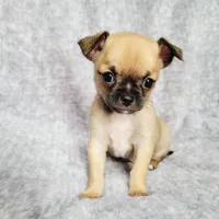 processed/22a9d25d-902c-447b-a751-e3ecc58722ff/facility/f3784c4b-9599-4653-9e35-5e26987ee32e