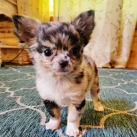 processed/22a9d25d-902c-447b-a751-e3ecc58722ff/facility/fa65cadc-e353-4daf-a6f4-b58bdb1fc394