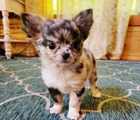 processed/22a9d25d-902c-447b-a751-e3ecc58722ff/facility/fa65cadc-e353-4daf-a6f4-b58bdb1fc394