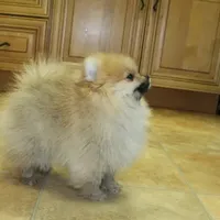 processed/22acd988-51f2-4d72-9af7-ec9854b6d609/facility/1d4acab2-7fdc-4af7-948c-def33a853c5d