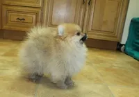 processed/22acd988-51f2-4d72-9af7-ec9854b6d609/facility/1d4acab2-7fdc-4af7-948c-def33a853c5d