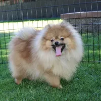 processed/22acd988-51f2-4d72-9af7-ec9854b6d609/facility/23ed9681-15a9-412c-808d-703e73910969