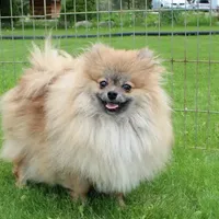 processed/22acd988-51f2-4d72-9af7-ec9854b6d609/facility/548f52da-5d45-4dea-863d-9d14b62f024d