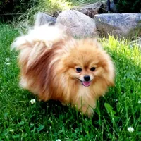 processed/22acd988-51f2-4d72-9af7-ec9854b6d609/facility/69590621-3925-4220-96c0-a3dcdfc05629