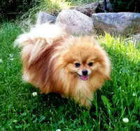 processed/22acd988-51f2-4d72-9af7-ec9854b6d609/facility/69590621-3925-4220-96c0-a3dcdfc05629