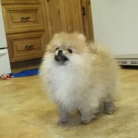 processed/22acd988-51f2-4d72-9af7-ec9854b6d609/facility/c03be7bf-5615-4938-b8a7-38b95cc920d4