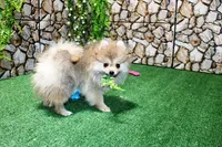 processed/22acd988-51f2-4d72-9af7-ec9854b6d609/listing/56be54be-591d-40ee-9102-b1be6d9f59cb/0290e057-64cf-4d38-a20b-8f9e1172d36f