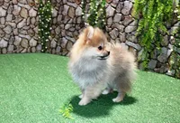 processed/22acd988-51f2-4d72-9af7-ec9854b6d609/listing/56be54be-591d-40ee-9102-b1be6d9f59cb/bfaa4c34-fb16-4109-9746-05841cdd5a58