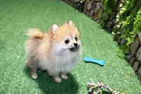 processed/22acd988-51f2-4d72-9af7-ec9854b6d609/listing/8506ea39-802d-4a12-9fee-c36c5d9ea6fb/5fefcc13-95f0-4599-b5a8-4fbdea6a868d