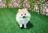 processed/22acd988-51f2-4d72-9af7-ec9854b6d609/listing/8506ea39-802d-4a12-9fee-c36c5d9ea6fb/7509def8-86fe-45ce-a4e5-9f20a2600c49