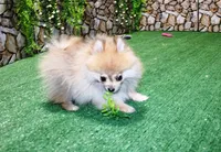 processed/22acd988-51f2-4d72-9af7-ec9854b6d609/listing/8506ea39-802d-4a12-9fee-c36c5d9ea6fb/76a0b65a-5af4-41ad-9400-c8bfa74cbac8