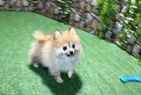 processed/22acd988-51f2-4d72-9af7-ec9854b6d609/listing/8506ea39-802d-4a12-9fee-c36c5d9ea6fb/a6d70c3d-9add-4531-bb55-3d10fe3ccea0