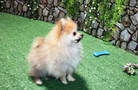 processed/22acd988-51f2-4d72-9af7-ec9854b6d609/listing/8506ea39-802d-4a12-9fee-c36c5d9ea6fb/ad72976a-e65a-44a4-ae61-671f52f83108